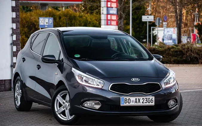 kia Kia Ceed cena 29900 przebieg: 228500, rok produkcji 2013 z Żerków